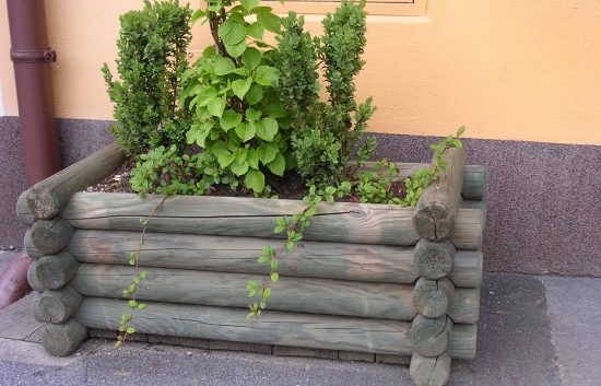 Blumentröge Holz-Riegler - Bild 3