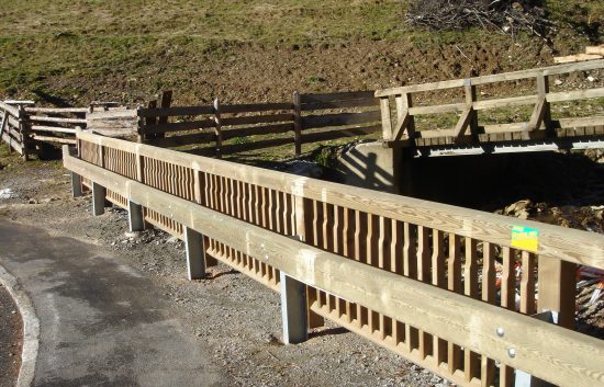 Leitschiene System LBD II b mit Geländer Raaba light - BST Krakauebene